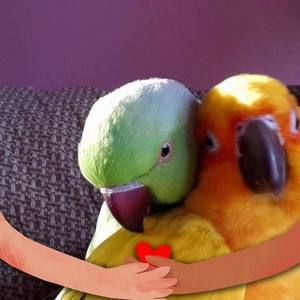 Meet your Posher, Barbara